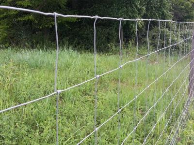 China Livestock Hot Dipped Galvanised Farm Deer Fencing 80cm High for sale