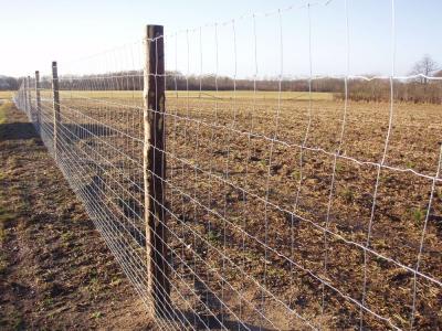 China 1.5m Height Farm Galvanized Design Cattle Mesh Fencing for sale