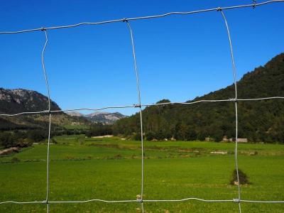 China Gegalvaniseerde Vaste Knoop 1.5mm Mesh Farm Fence For Deer-Veepaard Te koop