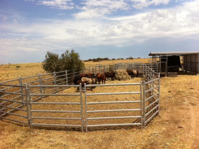 China Odm Portable 1.0mm Thick Heavy Duty Galvanized Corral Panels 1.8x3.37m for sale