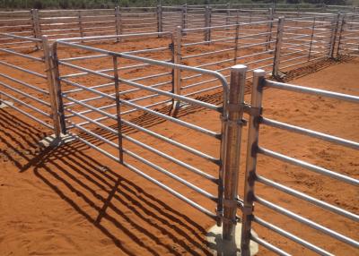 China Iron Round Pipe 5 Ft High Heavy Duty Cattle Panel Hot Dip Galvanized for sale