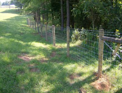 China 4 Ft 5 Ft Livestock Mesh Fencing SGS Certification for sale