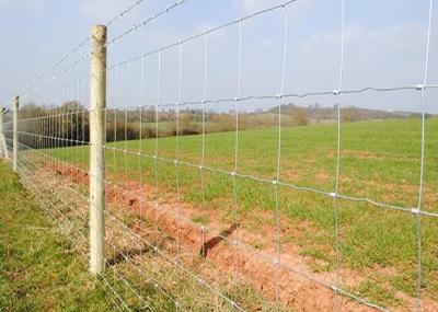 China 2.4m Hot Dipped Galvanized Steel Cattle Fencing Security Field Agricultural for sale