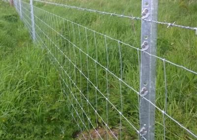 China Heavy Duty Livestock Prevent Cattle Proof Fencing Hinge Joint for sale