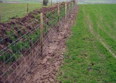 China Het elektrische Gegalvaniseerde Vee Mesh Fencing For Livestock van de Ijzerdraad Te koop