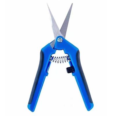 China Anti-Slip Handle Stainless Steel Garden Straight Trimming Scissors Small, 6.5 Inch Hand Shears With Micro Straight Tip Pruner Tools for sale