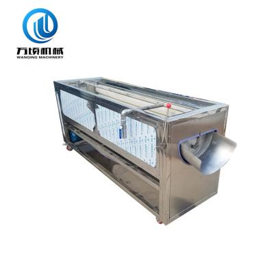 China Automatically Fruits Washing Machine Equipment For Cleaning Dates, Olives, Plums, Cherries And Similar Fruit for sale