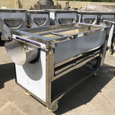 China Automatically Medjool Dates Washing Machine Equipment With High Efficiency Used To Clean Dates And Similar Fuirts for sale