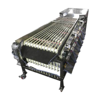 China Automatically 2020 new style gumdrops red dates plums grading processing sorter for sale