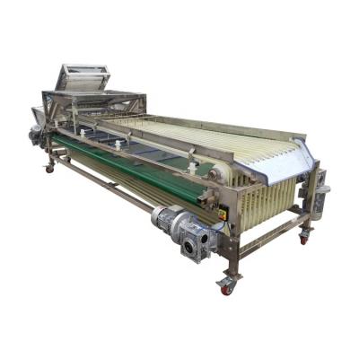 China Snack Factory Pineapple and Strawberry Fruit Sorter for sale