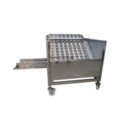 China Automatically Green Walnut Meat Removing Machine for sale