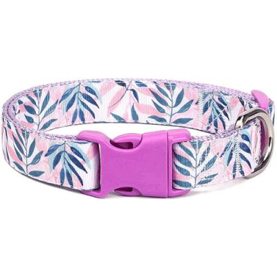 China Durable Pet Products Lavender Wind Pet Collar Padded Comfortable Fashion Suppliers Using Collar for sale