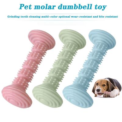 China Pet Toy Supplies Dog Bite Glue TPR Molar Stick Viable Factory Customized Shrimp Molar Bar Toy Bite Glue TPR Stick for sale