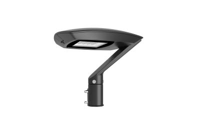 China Outdoor Led Garden Lights 50W Urban Lighting  CE Approval Customizable Outdoor Lighting for sale