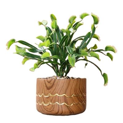 China Nordic Modern Marble Cactus Party Hotel Decor ODM ODM Planter Succulent Flower Pots For Indoor Plants for sale