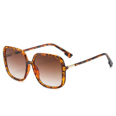 China Fashion sunglasses factory direct charm summer surfing popular promotional sunglasses for sale