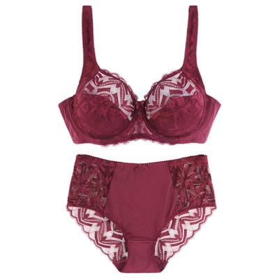 China New Design Breathable Lace Embroidered Sexy Women Plus Size Underwear Panties And Bra Set for sale