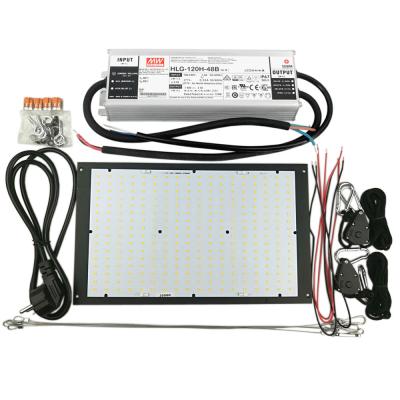 China de Quantumraad van 120W QB288 voor van de Grow de Lichte Volledige Module Spectrumverlichting met LEIDENE van LM301B Samsung Spaanders 3000K 660nm Te koop