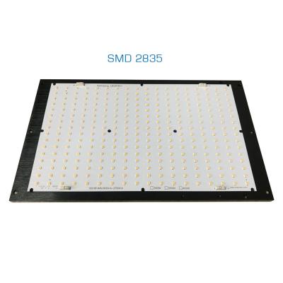 Cina modulo delle luci progressive di 300W SAMSUNG LM281B+ LED con il sistema del dissipatore di calore ed il driver di potere in vendita