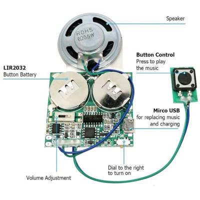 China USA Programmable/Downloadable USB Sound Module For Greeting Cards Sound Module USB Recordable For Toy for sale