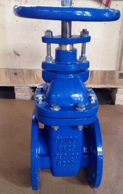 China (BS) Cast Iron Gate Valve Flanged Ends for sale