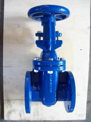 China (bs) Cast Iron Metal Gate Valve O&Y flanged ends for sale