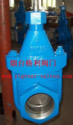 China cast iron clip gate valve for sale