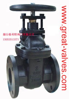 China (bs) Cast Iron Metal Gate Valve O&Y flanged ends for sale