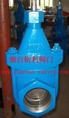 China clip gate valve for sale