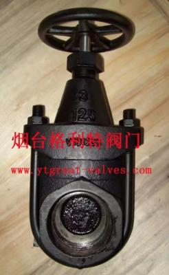 China clip gate valve for sale