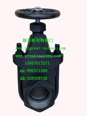 China clip gate valve for sale