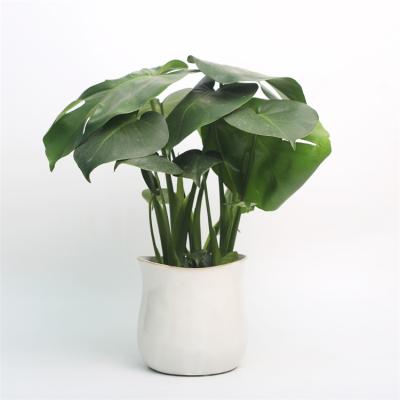 China Supplier Modern Custom Logo China Green Plant Porcelain Outdoor Flower Pot For Garden for sale