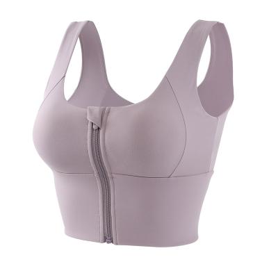 China Breathable Customize Sport Oversized High Stretch Zipper Fitness Sport Yoga Crop Top Bra for sale