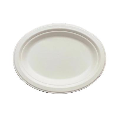 China Custom Disposable Biodegradable Compostable Plastic Paper Bamboo Food Oval Dishes Made In China for sale