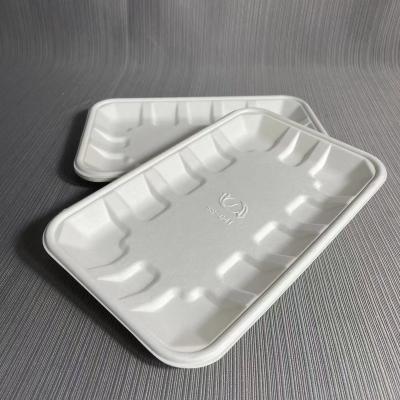 China Custom Logo Bagasse Food Packaging Supermarket Disposable Ice Cube Disposable Fruit Layered Tray for sale