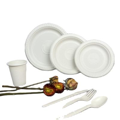 China 100% cornstarch biodegradable wholesale compostable disposable clpa plastic tableware for sale