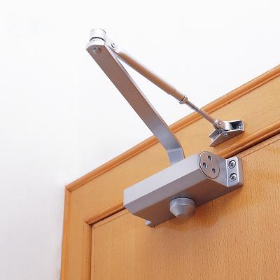 China Modern Sliding Heavy Duty Hydraulic Cover Concealed Orient Door Closer Types for sale