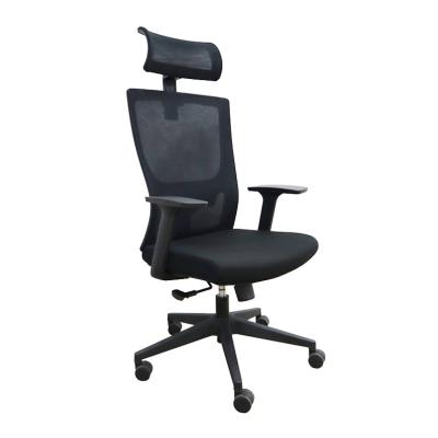 China (Height) SGS Adjustable Mesh Chair Executive Ergonomic High Back Office Chair With Mute Caster for sale