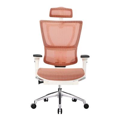 China Ergonomic (height adjustable) office chair, colorful mesh office chair, ergonor chair (M2064) for sale