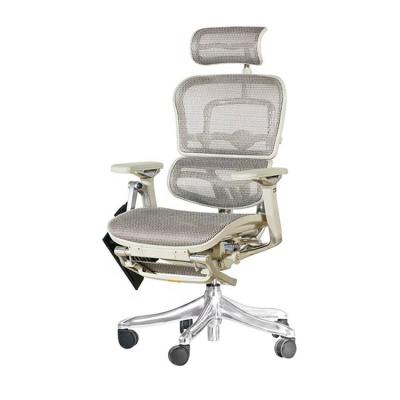 China (Height) Aftermarket Adjustable Ergonomic High Adjustable Swivel Mesh Chair Recliner With Footrest Armrest With Pad for sale