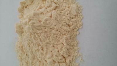 China Kiwi Powder en venta