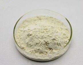 China Natural soybean Peptide,soybean Peptide powder,soy Peptide,soya Peptide 99% for sale