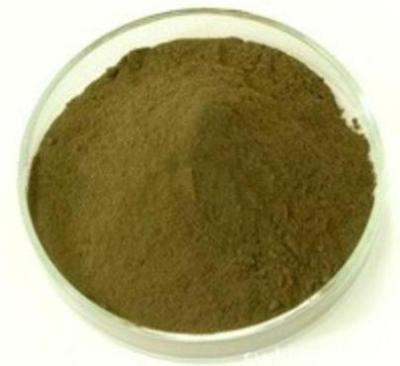 China Fucus extract,Fucus extract powder,Fucus vesiculosus extract,Bladderwrack Extract for sale