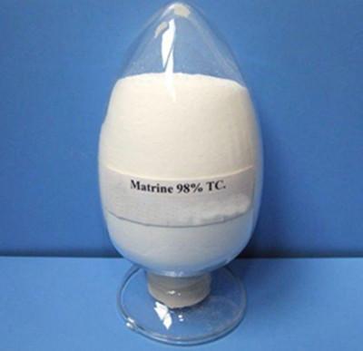 China Oxymatrine,Oxymatrine powder,kushenin,Sophora flavescens extract CAS No 16837-52-8 for sale