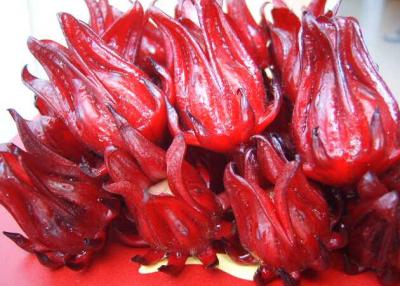 China 100% natural roselle extract 10:1, 20:1 for solid drinks for sale