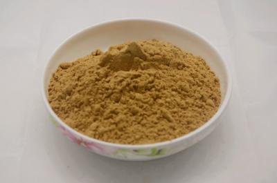 China Antrodia cinnamomea Extract/Antrodia cinnamomea polysaccharide for sale