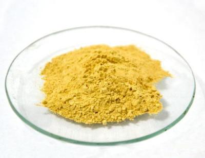 China fenugreek extract, Common Fenugreek Seed Extract, Semen Trigonellae extract for sale