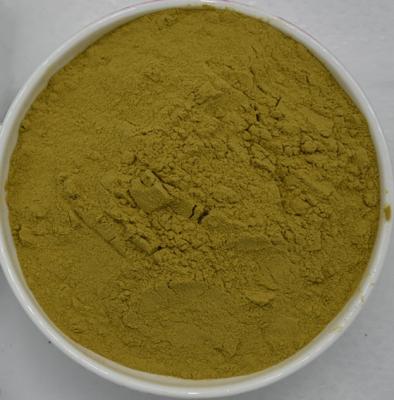 China Cichoric Acid 4%HPLC (CAS No.: 70831-56-0),Polyphenols 4%UV,Echinacea Extract powder for sale