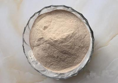 China alkaline protease, alkaline protease enzyme, natural alkaline protease powder for sale