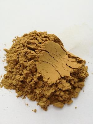 China thorn/spikes prickly sea cucumber powder, stichopus japonicus powder, sea cucumber protein for sale